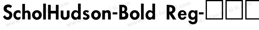 ScholHudson-Bold Reg字体转换